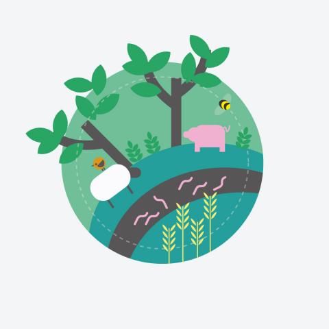 Reproducible sustainable farming systems