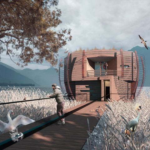 Floating Nest