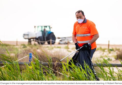 Awarded Regeneration of beach dune systems