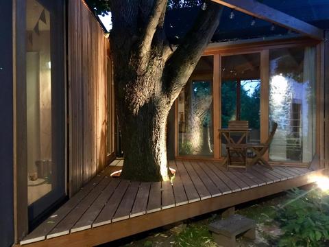 Symbiotic House Under the Tree
