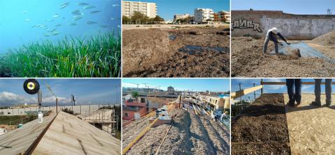 Sandstone, reused wood and Neptune grass
