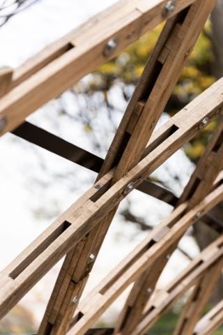 Public timber elastic gridshell