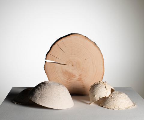 FOREST – A DESIGNER’S PERSPECTIVE