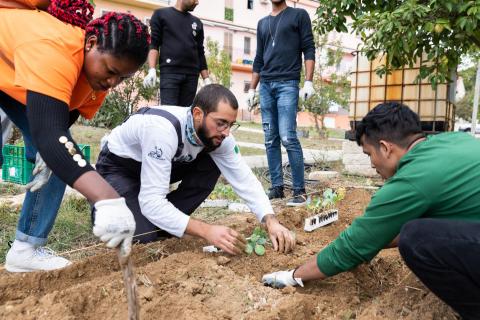 Ortadini: gardener citizens in Matera