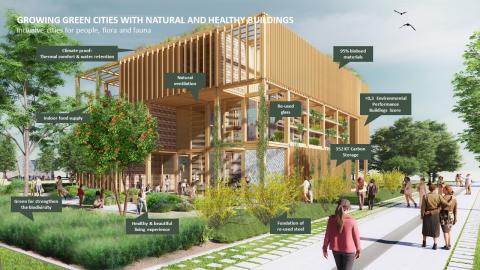 THE NATURAL PAVILION