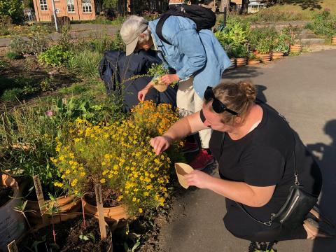 Garden to connect