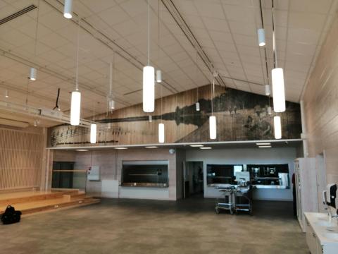 A new log school at Vesanto