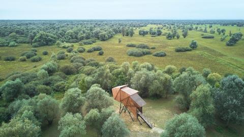 Wetland Visitor Centre and Observatories