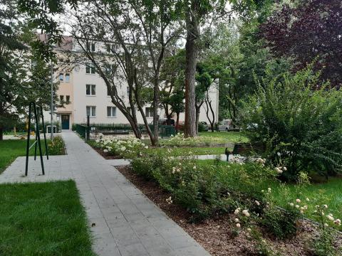Revitalization of the Krakow courtyards