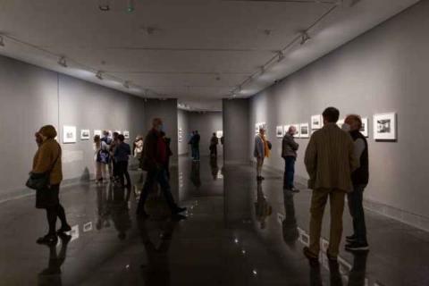 Beyond city evolution, thinking together