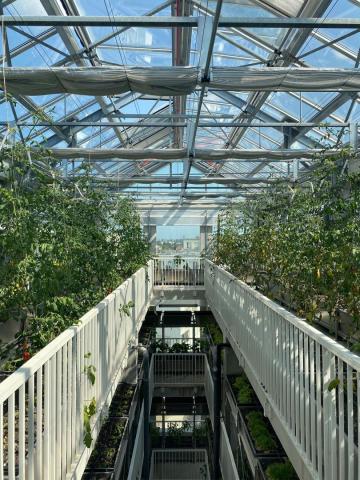 Vertical Farm
