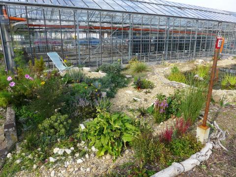 Grapoila Permaculture Project