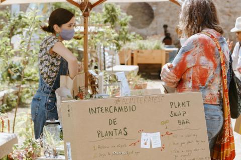 PlantekaFest