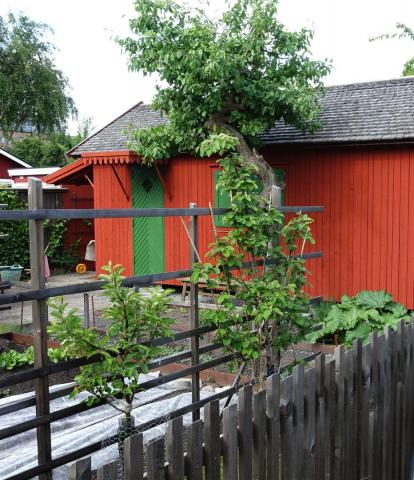 Kolonistugan (The allotment)