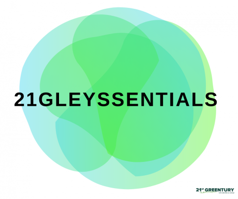21Gleyssentials