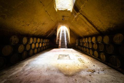 Ecomuseum of winemaking