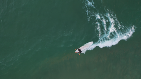 Liquefied Wood Surfboards