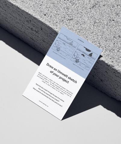 Cards for More-Than-Humanity
