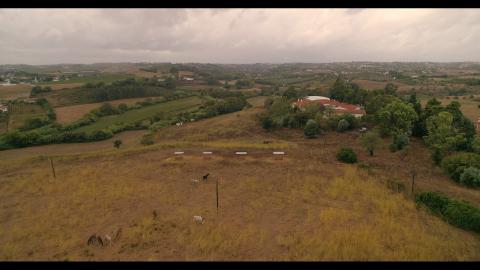 Portugal's First 'Green Sanctuary'