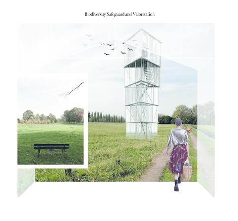 Restoring the peri-urban habitat