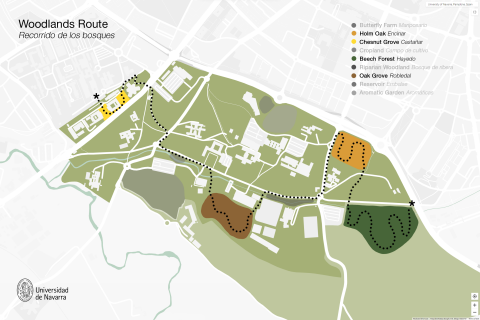  Diversification of UNAV´s Campus