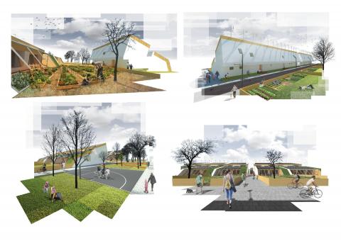 Zero Emission Neighborhood
