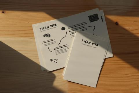 Tiera Viva