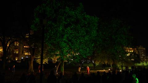 DANCING TREES
