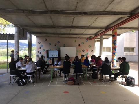 Bambusa  Estudio  