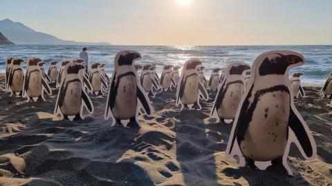 Open Science on Procida Island