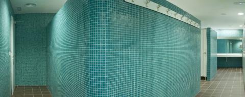 Multipurpose Indoor Swimming Pool 