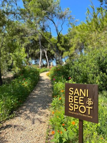 The Bee Spot @ Sani 