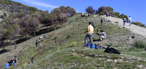 Awarded Sacromonte Caves Museum