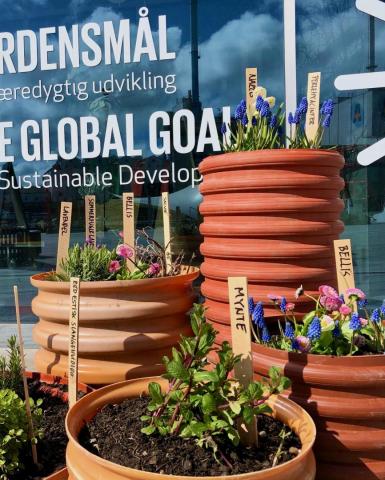 Garden to Connect with Nature & People