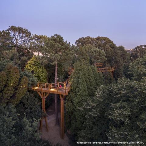 TREETOP WALK OF SERRALVES
