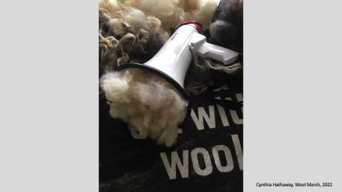 Wool March