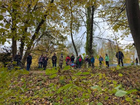 "Trees to the Skies" Land Art Project