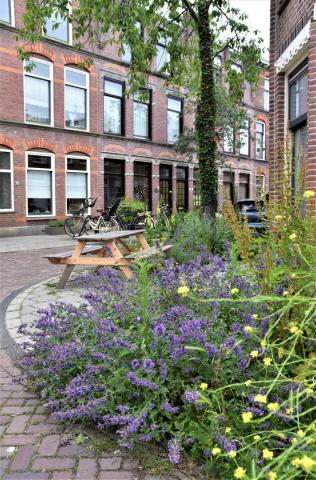 Guerillagardeners