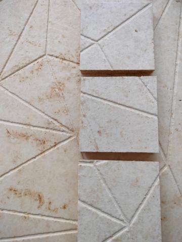 Mycelium Wall Acoustic Panels