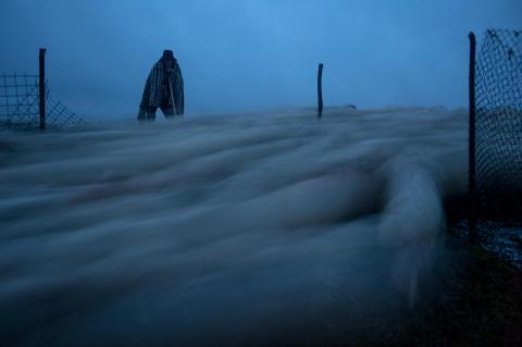 The Last Transhumance