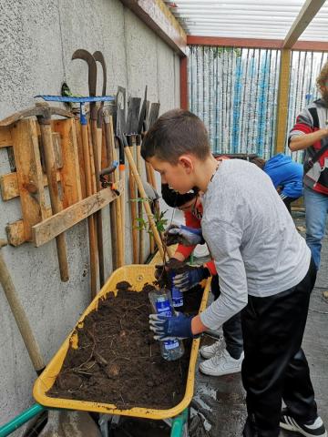 For a living forest without fires