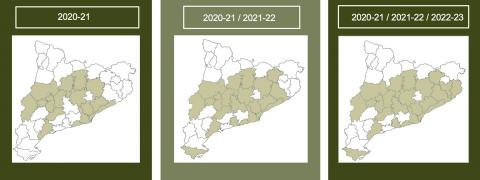 FOREST and sustainability