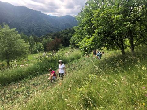 Place for every child- biodinamic farm 