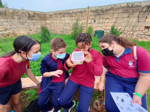 GħarDalam-A Global Garden for the Future