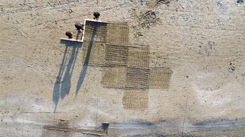 Tracce, traces 