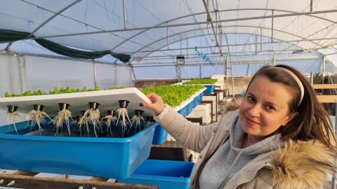 Urban Farming