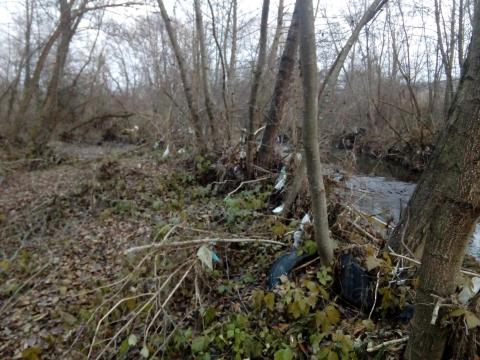  teens for the enviroment
