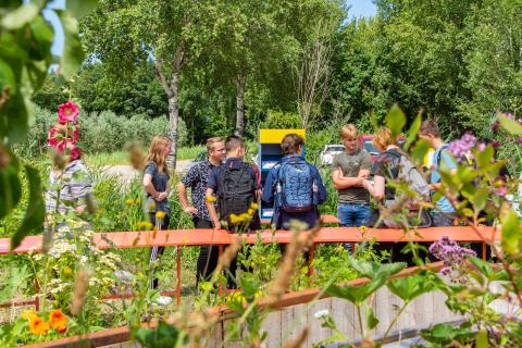 The Food Museum: A Wild Choice