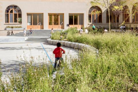 Playgrounds of the “El petitmiquel”