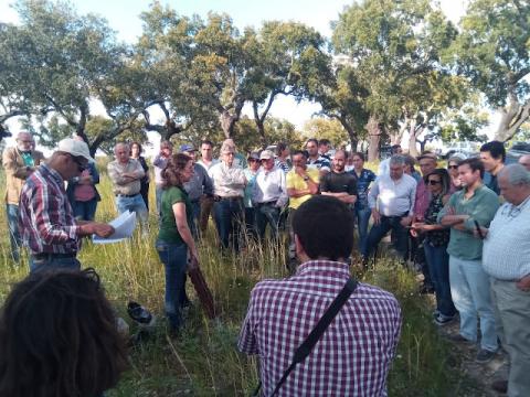 Tertúlias do Montado